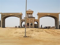 صوره 3